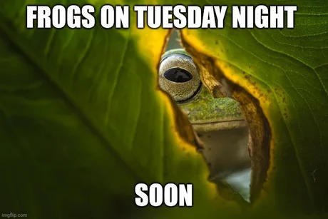 Tuesday night meme