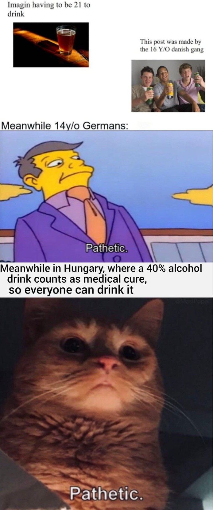 we all have our thingamajiggys - meme