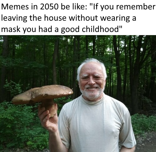 What memes in 2050 will be like