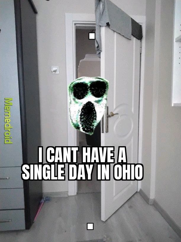 I CANT HAVE A SINGLE DAY IN OHIO. - meme