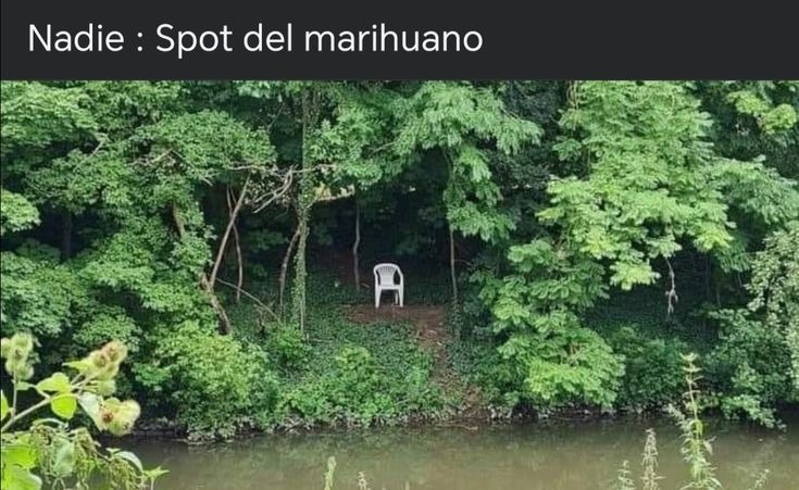 Nada mejor que disfrutar del monte - meme