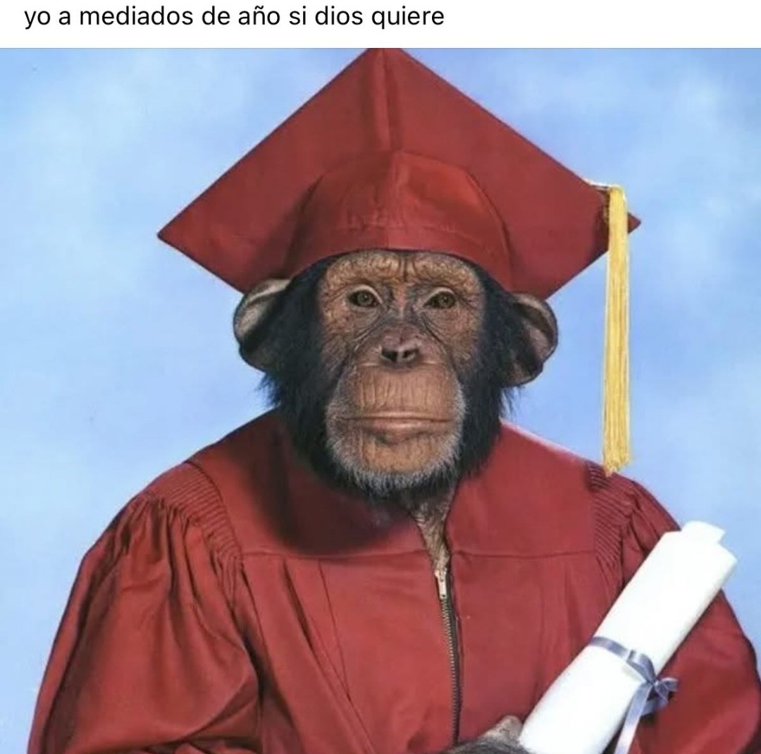 yo a mediados de año si diosito me deja - meme