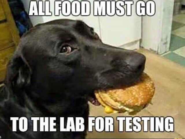 The doggo lab - meme