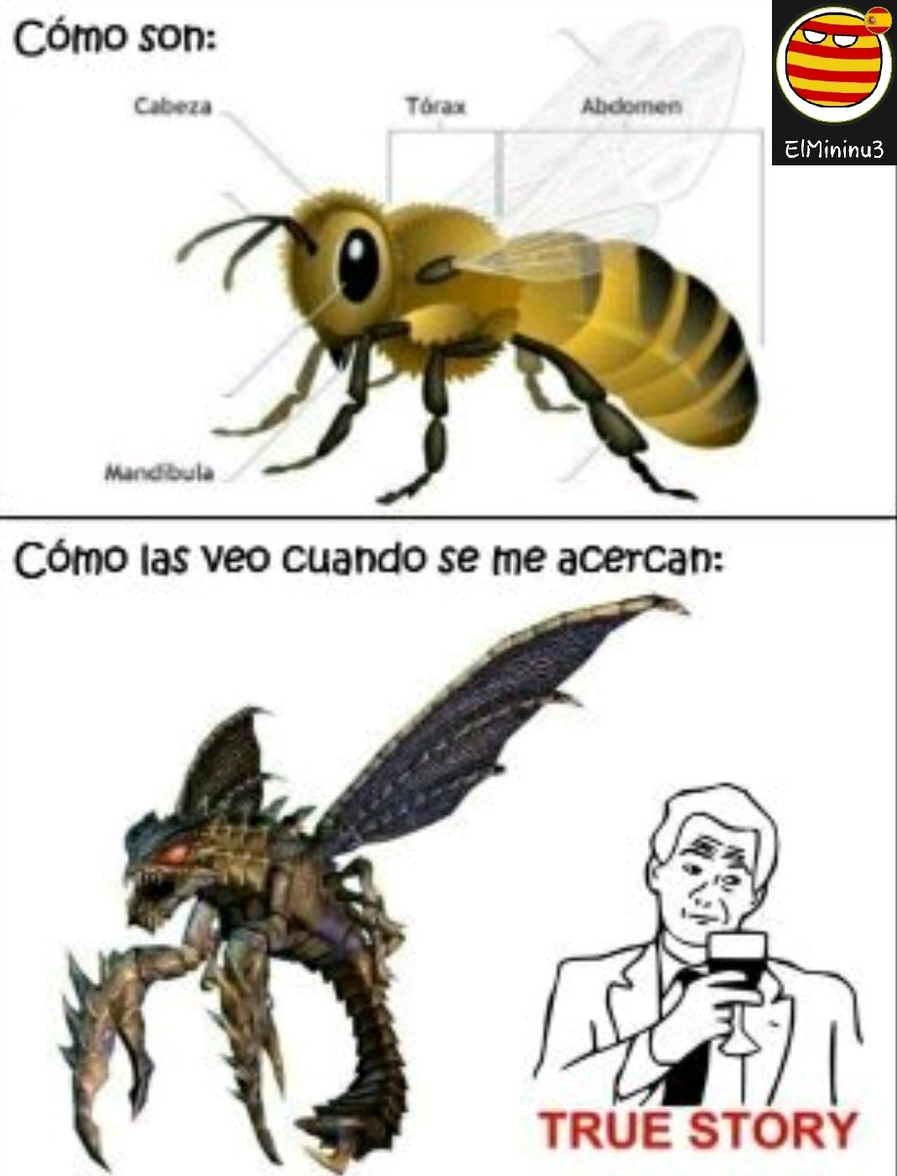 abejas... - meme