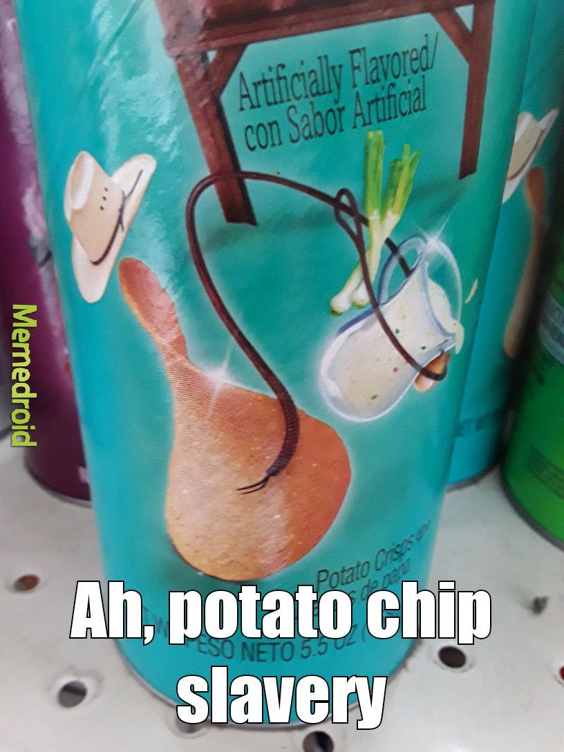 Potato chip Abraham Lincoln SUCKS - meme