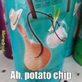 Potato chip Abraham Lincoln SUCKS