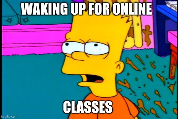 Online school be like - meme
