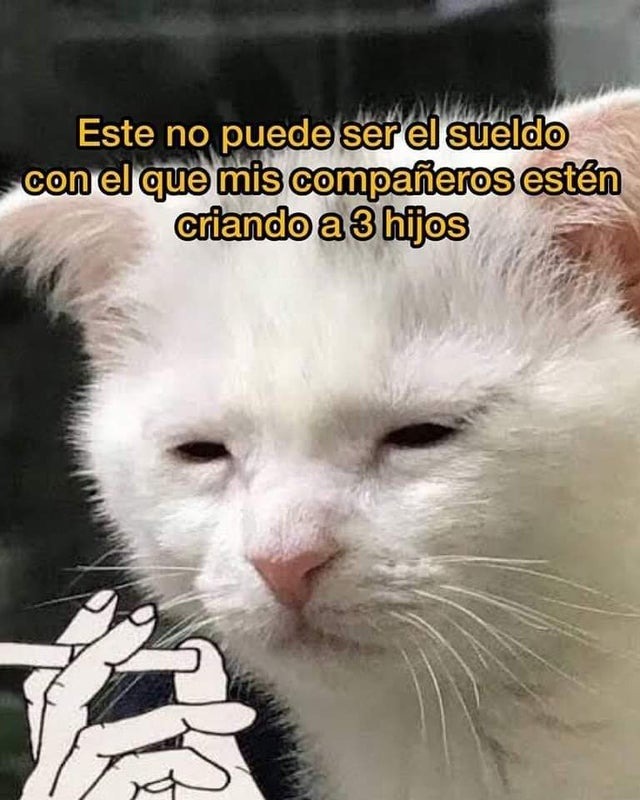 Gato depre - meme