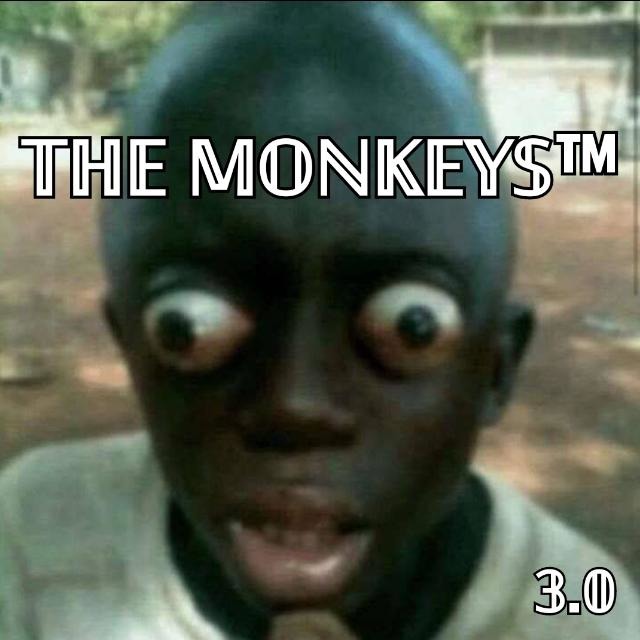 Monkeys - meme