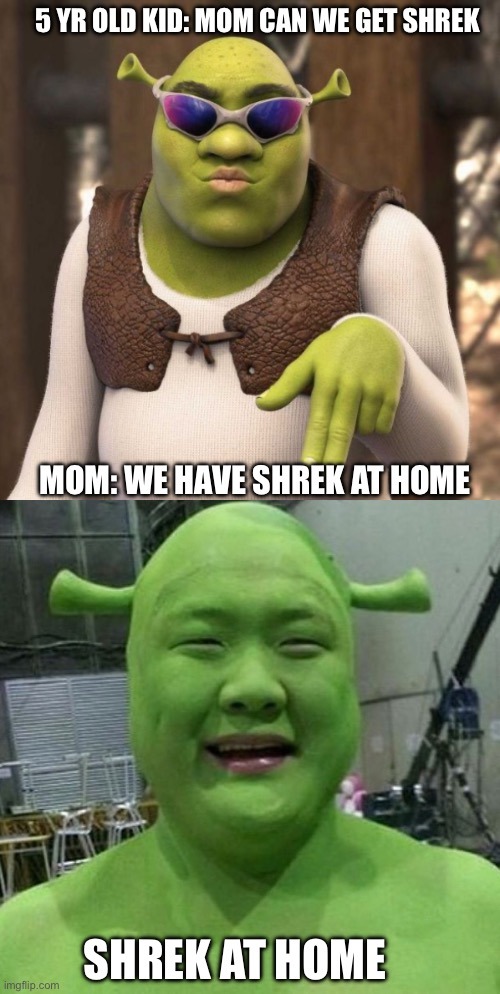 The best Shrek memes :) Memedroid