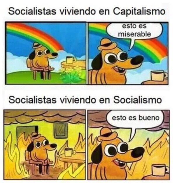 Socialistas viviendo en Capitalismo - meme
