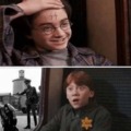 Noooo Harry