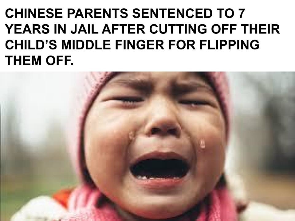 I refuse to believe this is real - meme