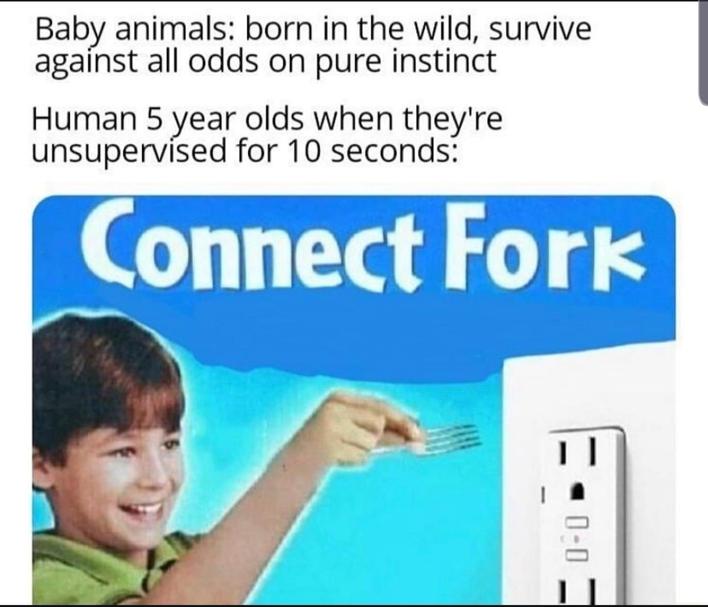 fork - meme
