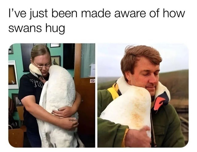 Nice hug - meme