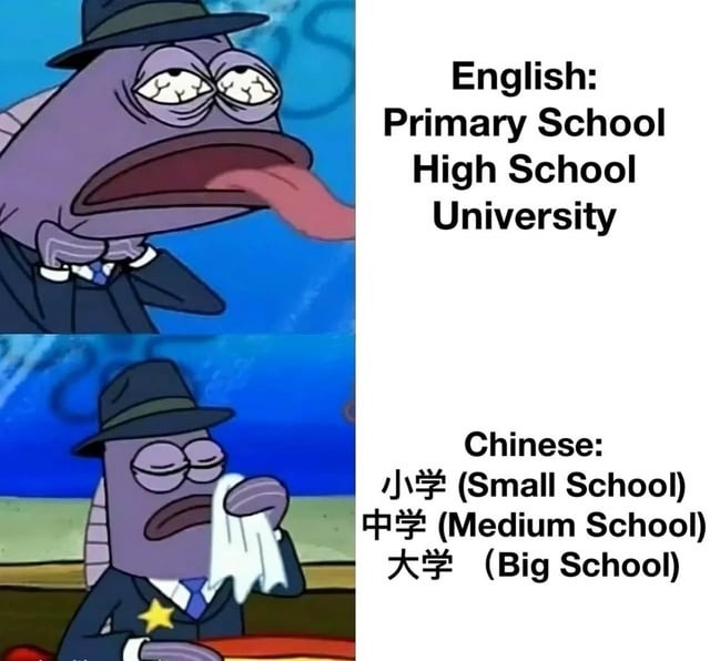 Chinese education system - meme