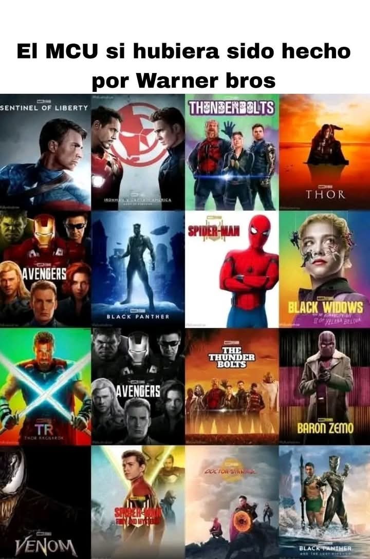 Pov:Viajas a un Universo alterno donde warner Bros tiene a marvel y no disney xD - meme