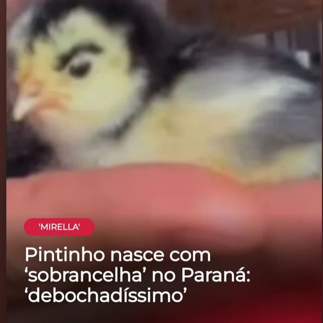 Piu - meme