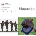 hippocrips