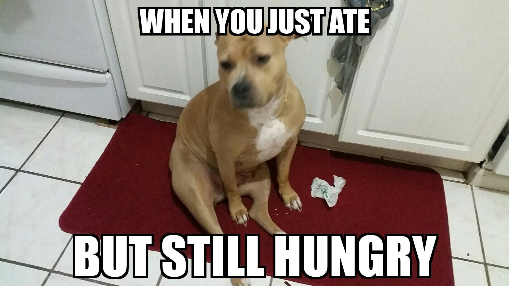 Hungry just ate - meme