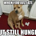 Hungry just ate