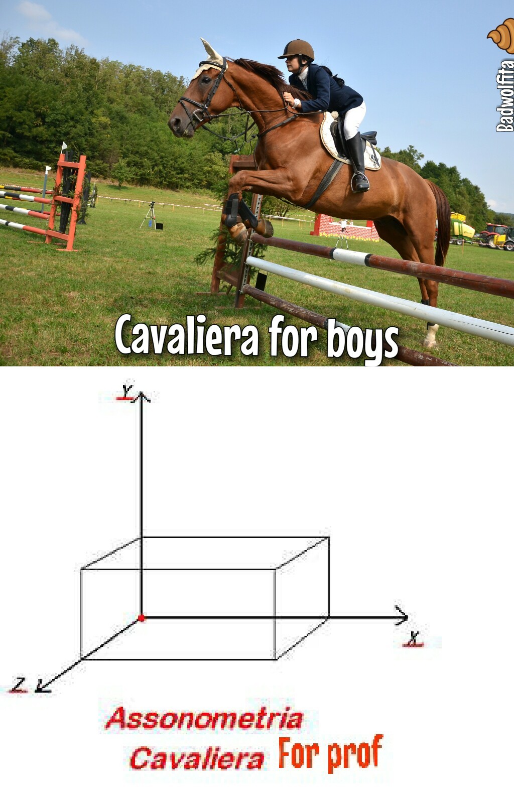 Cavaliera - meme