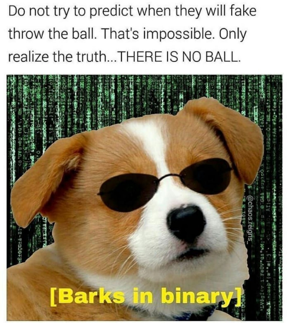 Matrix dog wants you to free your mind! - meme