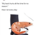 Sitting like a shrimp