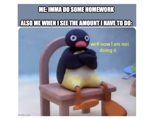 Homework can be a pain - meme