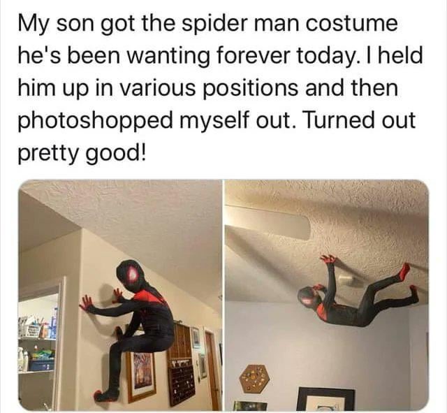 spidey - meme