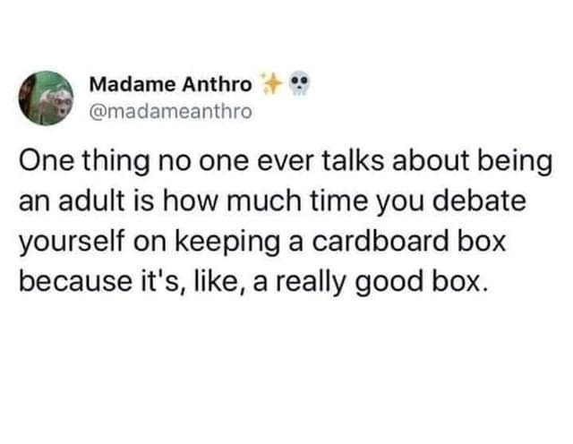 Adulthood is just debating whether to keep a box - meme
