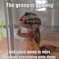 sad gecko