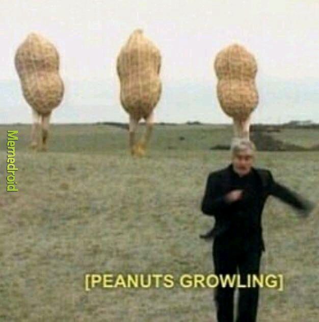 Peanuts - meme