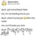 who new bread was bad for ducks