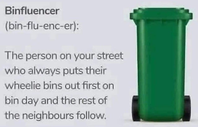 What is a binfluencer? - meme