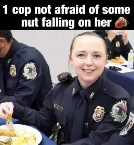 Tennessee Cop is no acorn cop - meme