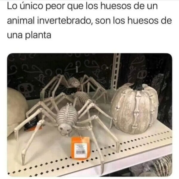 Decoraciones de huesos para halloween - meme