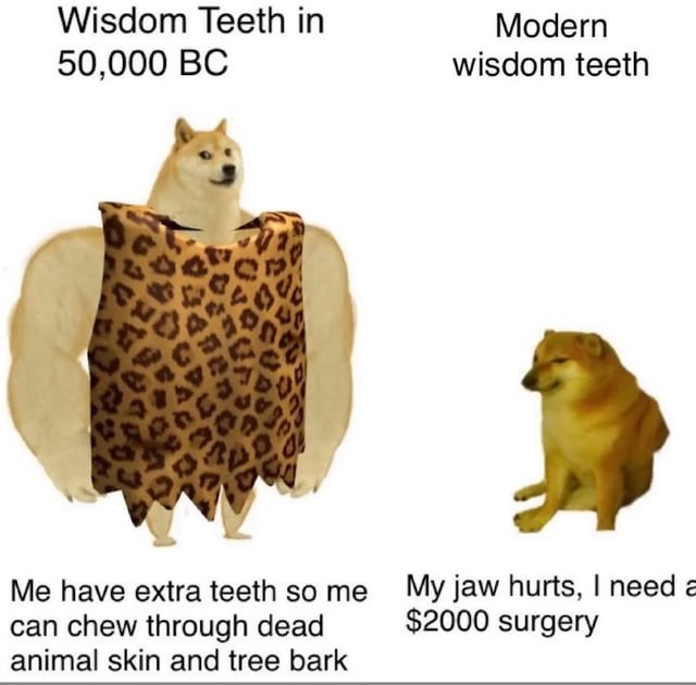 Wisdom teeth back then vs now - meme