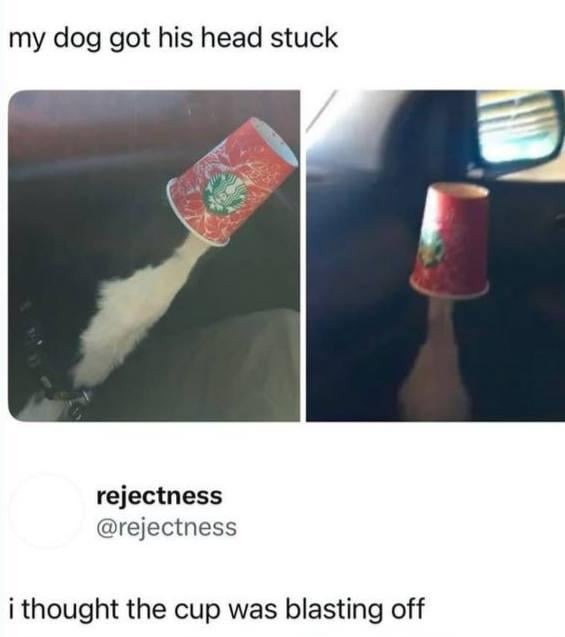 When you realize your dog’s a rocket scientist in disguise - meme