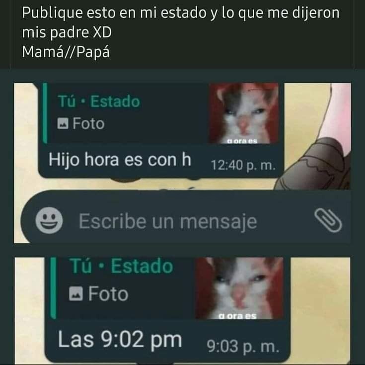 mis padres no entienden redes - meme