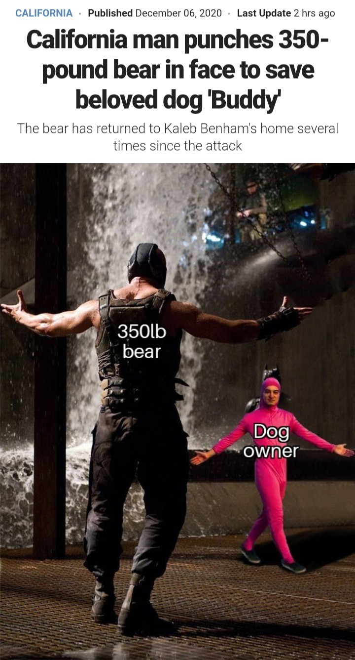 Doggo protection - meme