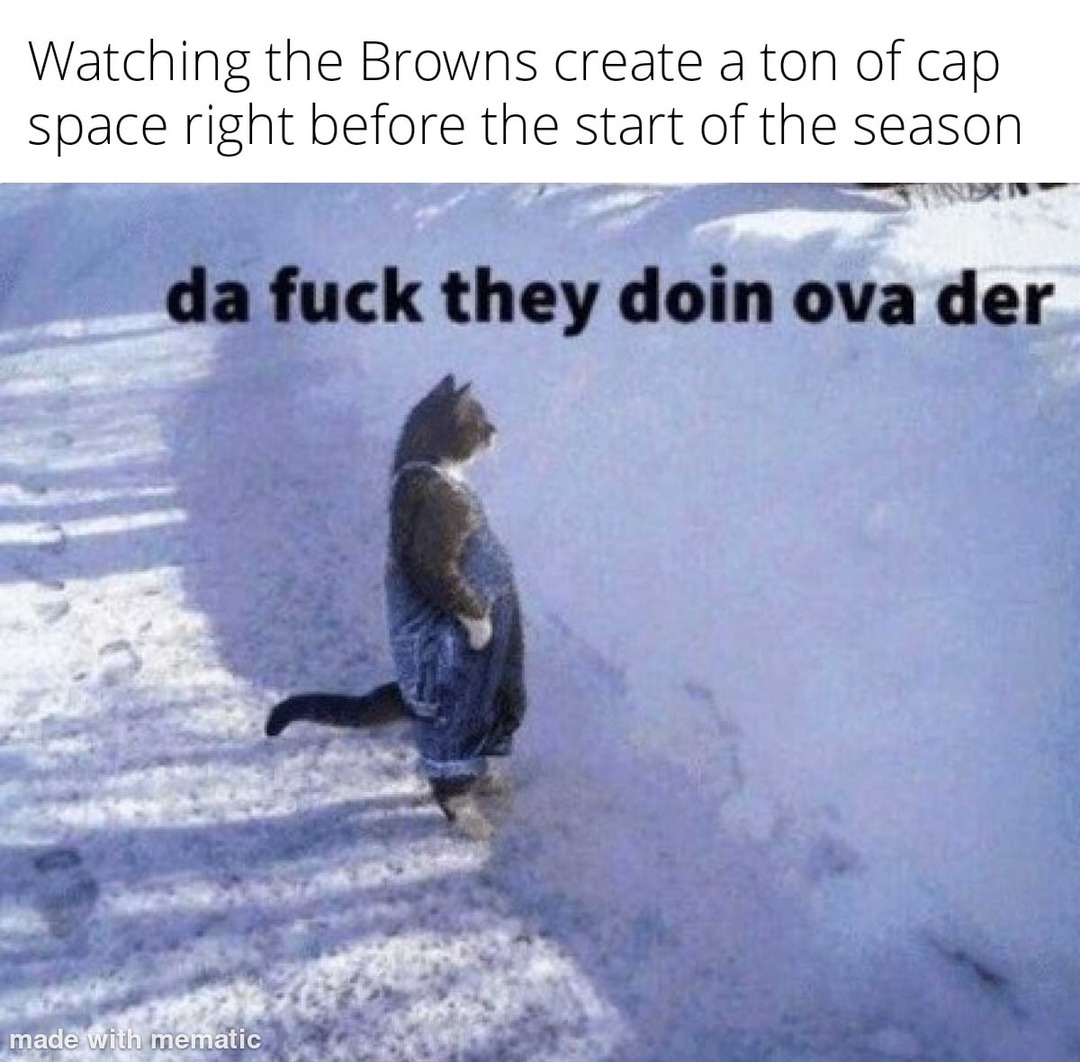 Watching the Browns - meme