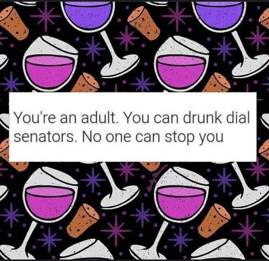 It's okay to drunk dial Senators - meme