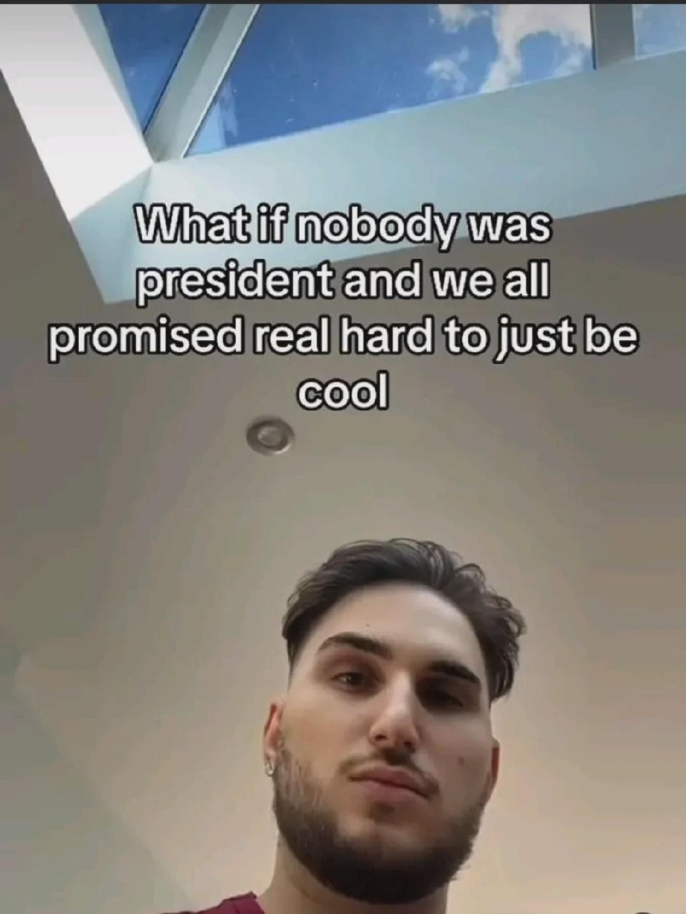 What if we just had no president and promised to chill? - meme