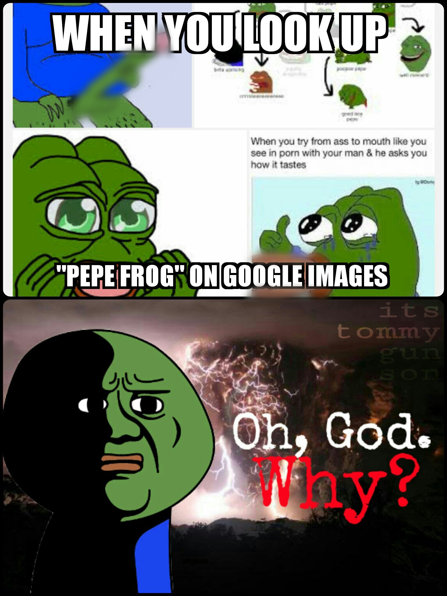 So much froggy junk. NOT dank Pepe. Not dank. - meme