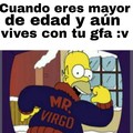 Mr.Virgo v: