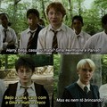 Draco é um fdp
