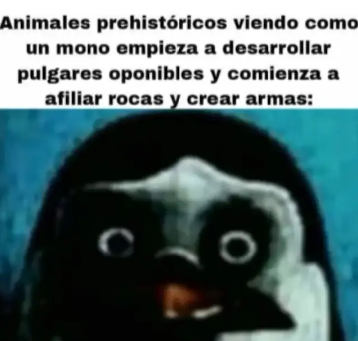 No se - meme