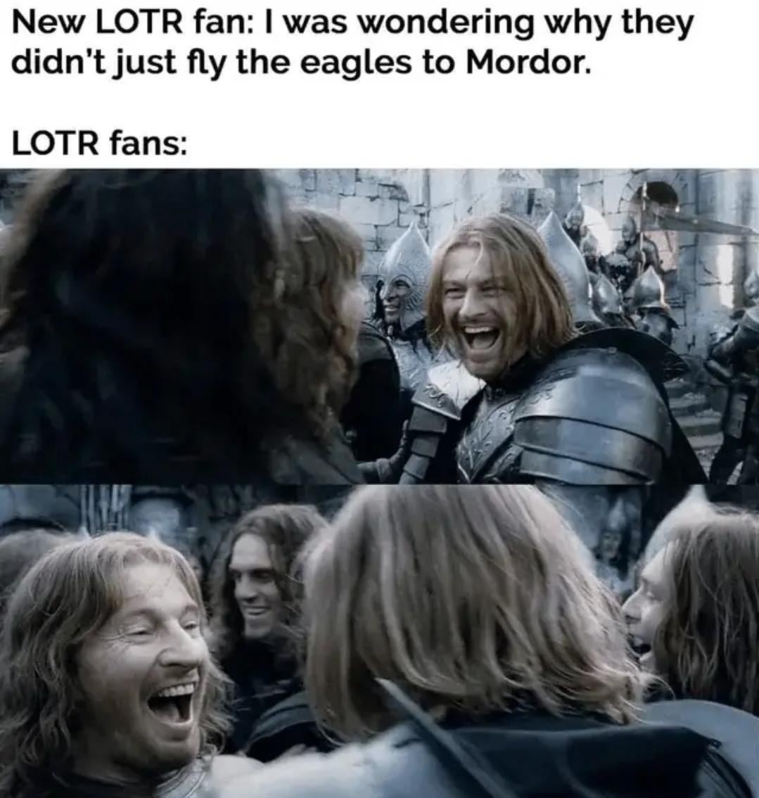 New LOTR fan asked about the eagles and got a lecture not a response - meme
