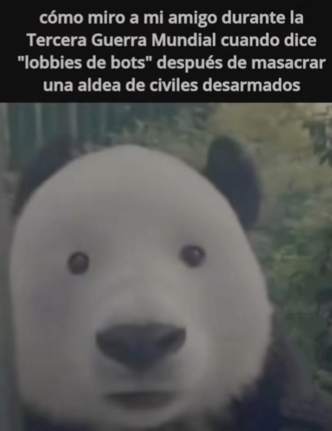 yo mirando a mi compa en la tercera guerra mundial después de una masacre virtual - meme